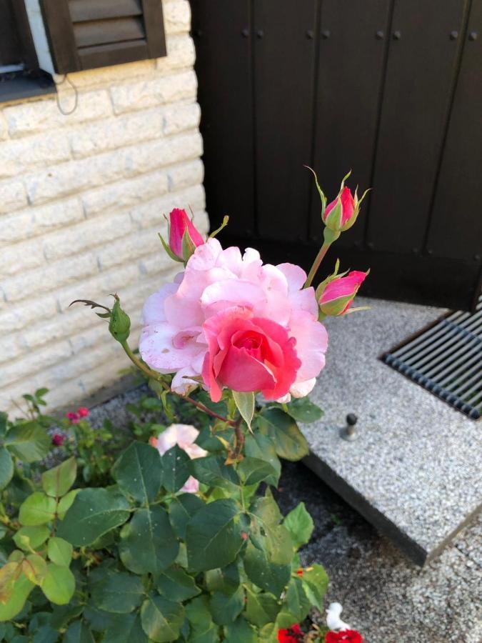 Anitas B&B Stockholm/Vaellingby Extérieur photo